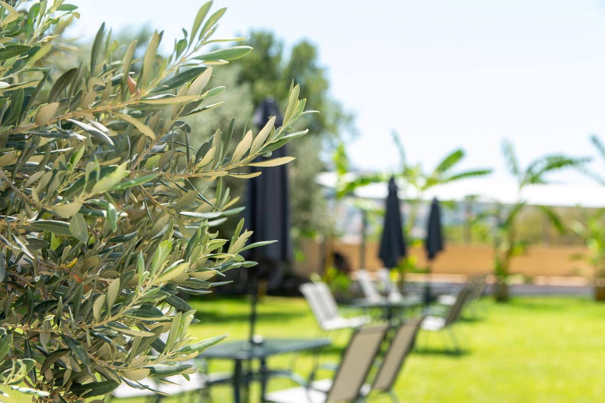 Airscape Hotel Free Shuttle From Athen'S Airport Αρτέμιδα Εξωτερικό φωτογραφία